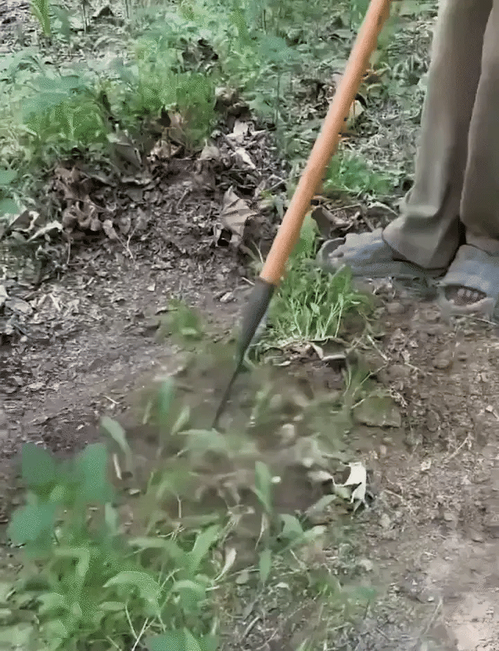 2025 Garden Weeding Rake