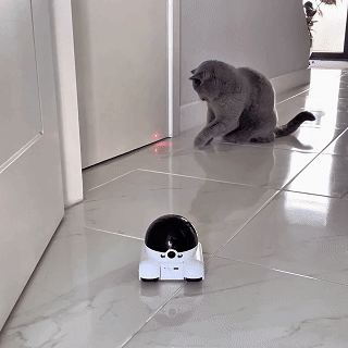 Blinky Bot Connection Buddy
