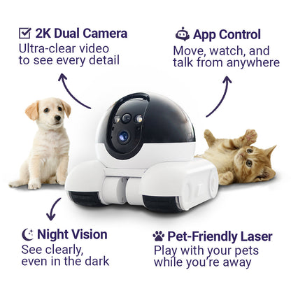 Blinky Bot Connection Buddy